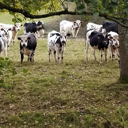 Gite La Clef Des Champs, Calme, Jardin, Parking, 3 Chambres, 17Km Des Plages Nyaraló Montpinchon