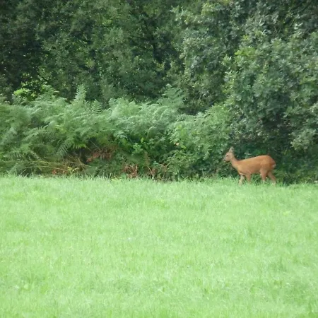 Gite La Clef Des Champs, Calme, Jardin, Parking, 3 Chambres, 17Km Des Plages *