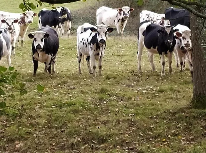 Rural Centre Manche, Calme, Jardin, Parking, 17km Des Plages Casa de Férias Montpinchon