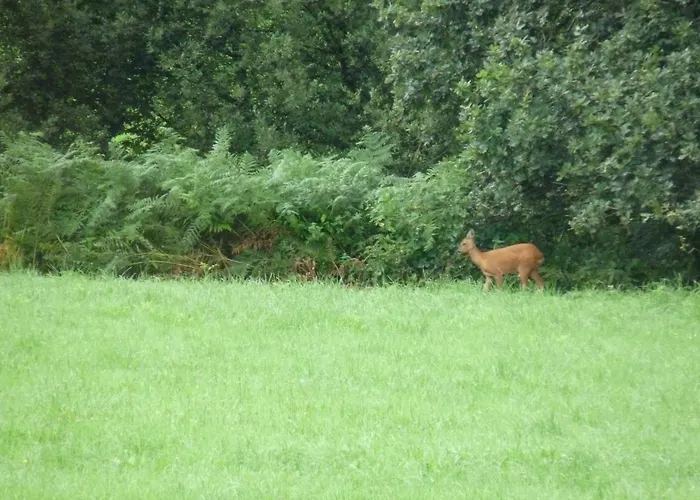 Rural Centre Manche, Calme, Jardin, Parking, 17km Des Plages *